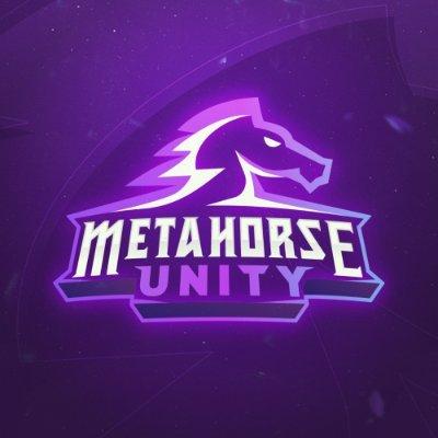 Metahorse Unity