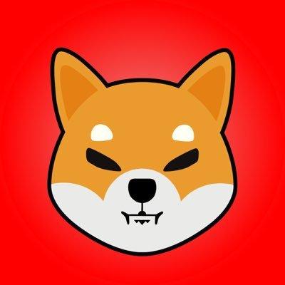 Shiba Inu