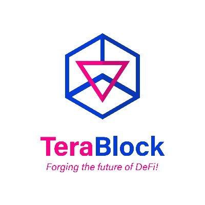 TeraBlock Logo