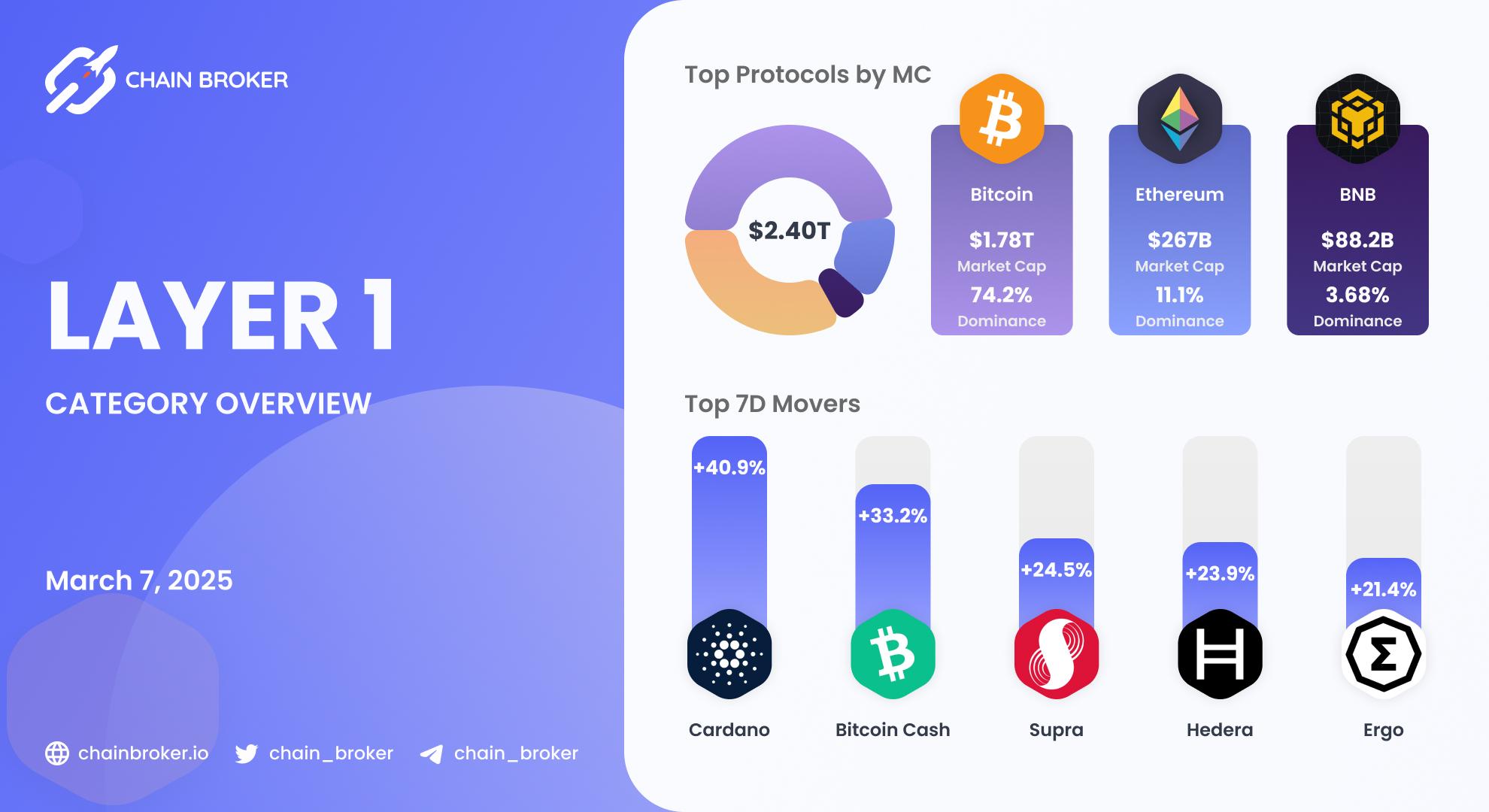 Layer 1 Ecosystem Overview
