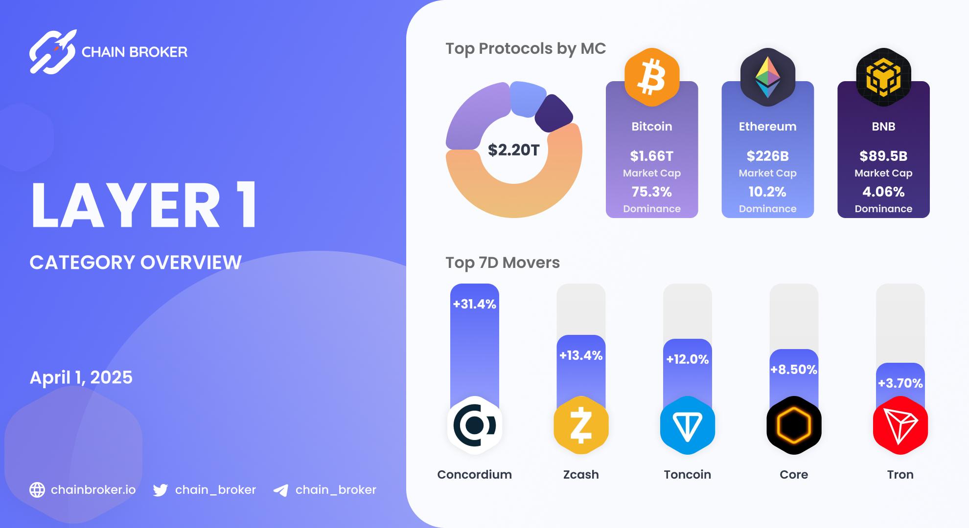 Layer 1 Ecosystem Overview