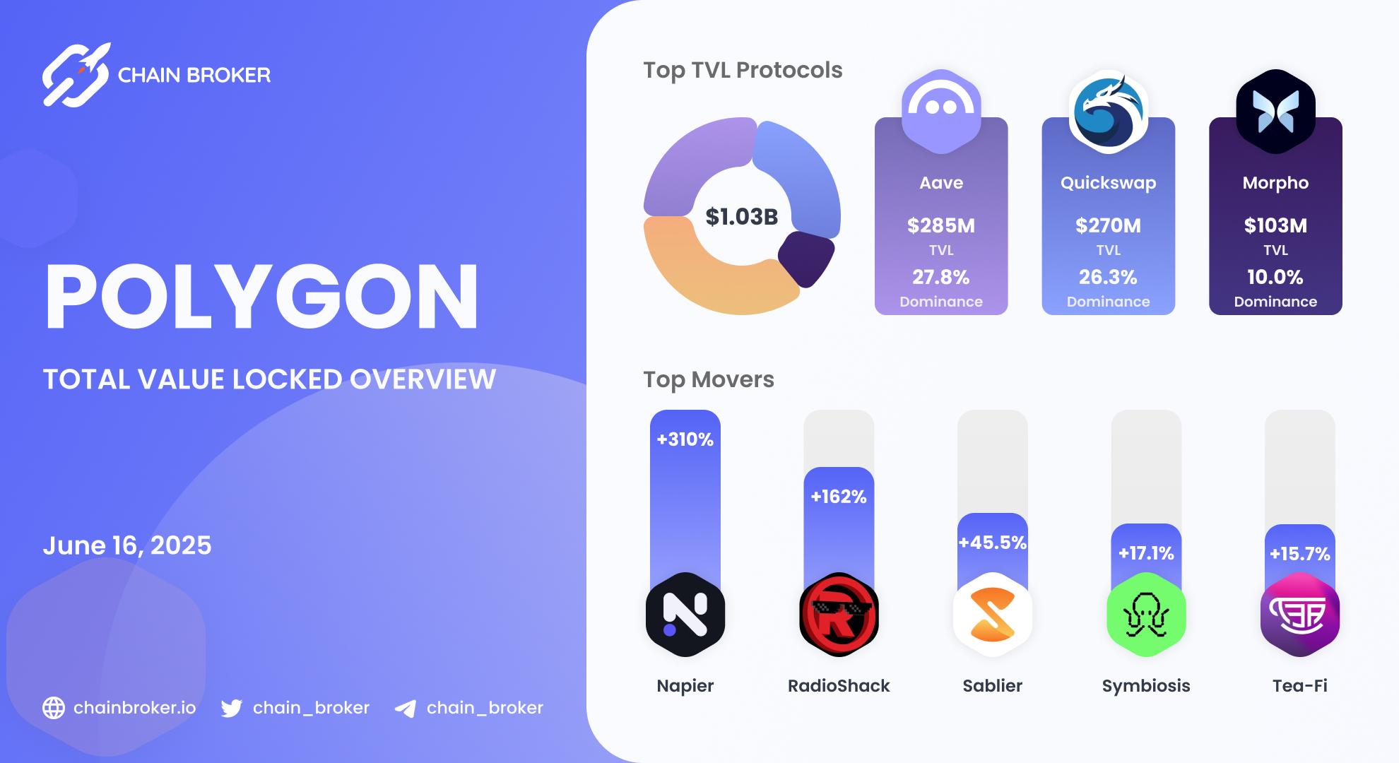Polygon total value locked overview Polygon total value locked overview